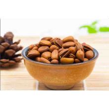 High Quality Natural Pine Nut Pakistan Pine Nuts